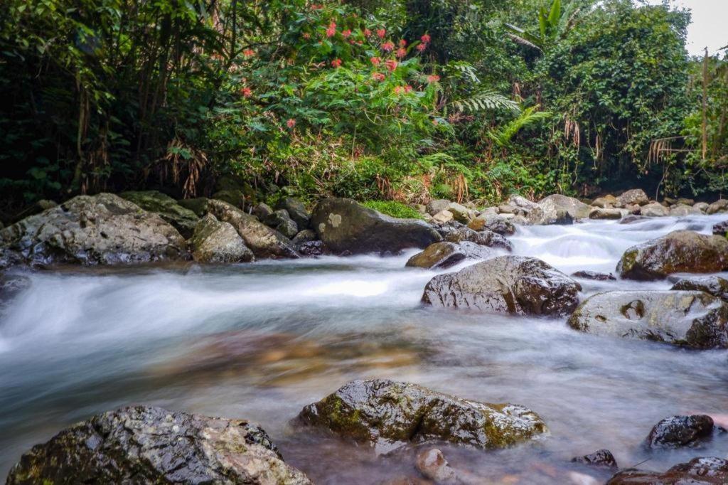 Graha Widjaja Otel Puncak Dış mekan fotoğraf